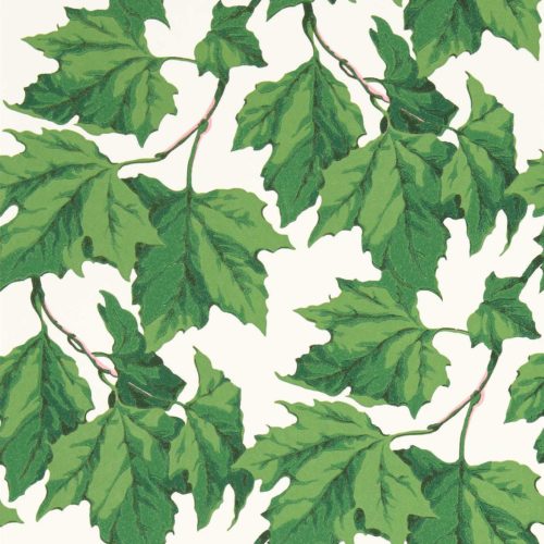 Dappled Leaf 113045